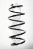 SPIDAN 56789 Coil Spring